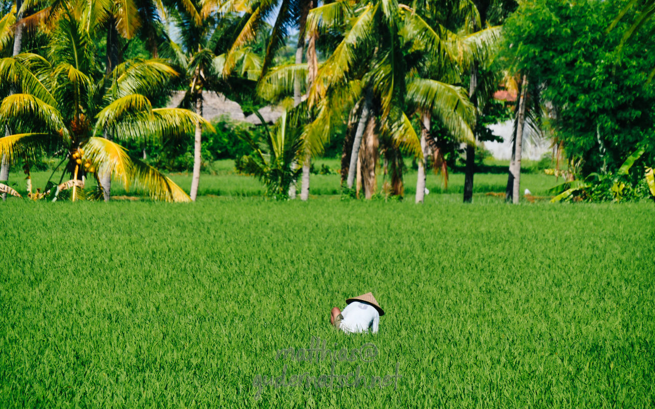 Landscapes Lombok